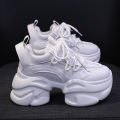 New Shoes2023Popular Women's Summer Mesh Surface Clunky Sneakers Thick Bottom All-Match Small High-Looking Casual Sneakers.