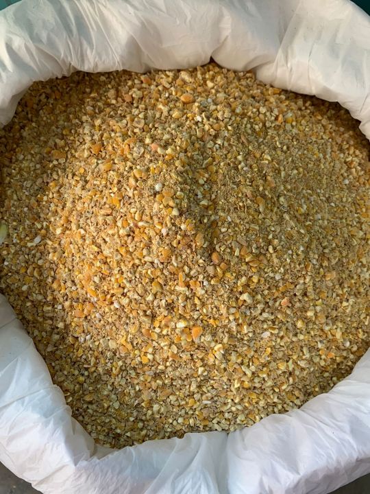 Nourish Layer Layer 1 Poultry Feed 500GM