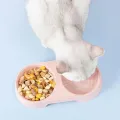 Pet Dishes Solid Color Double Bowl PP Material Cat Food Dispenser for Indoor.