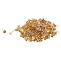100Pairs Earrings Studs and Backs Flat Iron Earrings Posts Jewelry Making. 