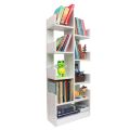 Open Book Shelf | Book Organizer | Showpiece Shelf | Showpiece Organizer | (Model: BS116).