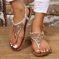 Bohemia Style Clip Toe Sandals Women 2023 Summer Flat Heels Gladiator Sandals Woman Plus Size 43 Rome Beach Shoes Flip-Flops House Foocus.