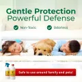 Super Killer Bed Bug Killer Spray | Charpoka Killer Spray & Medicine | Bedbugs Killer Insecticide | Odorless Safe Home Pest Control.