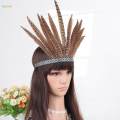 Feather Headband Indian Costume Indian Headdress Headband Crown Peacock Costume Headwear for Carnival Performance Burlesque Party Mardi Gras. 