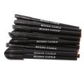 Econo Castle Ball Pen (Pack of 20 Pens). 