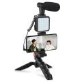 Vlogging Kit-01LM With Light, Table Tripod Stand, Microphone, Phone Holder, Bluetooth Remote. 
