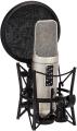 Rode NT2-A Large-diaphragm Condenser Microphone.