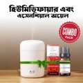 Innovative Appliance - Decorative Mist Maker Humidifier Aromatherapy Diffuser - Must Have - Professional Quality. 