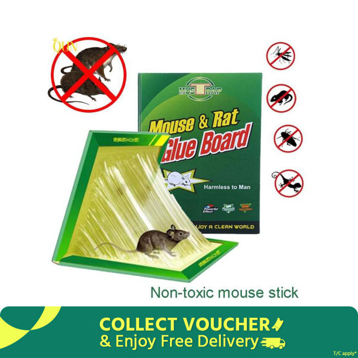 China rat eighteen traps mouse and rat eighteen traps-1 pice - Great to Have