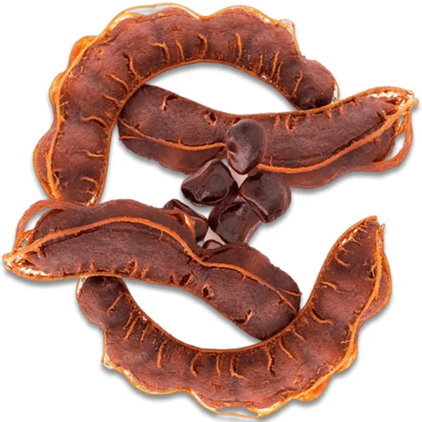 Tamarind%20Sour%20/%20Tetul%20(%20Fresh%20Quality)%20-100gm%20_Paka%20Tetul-JAR%20-%20Image%203