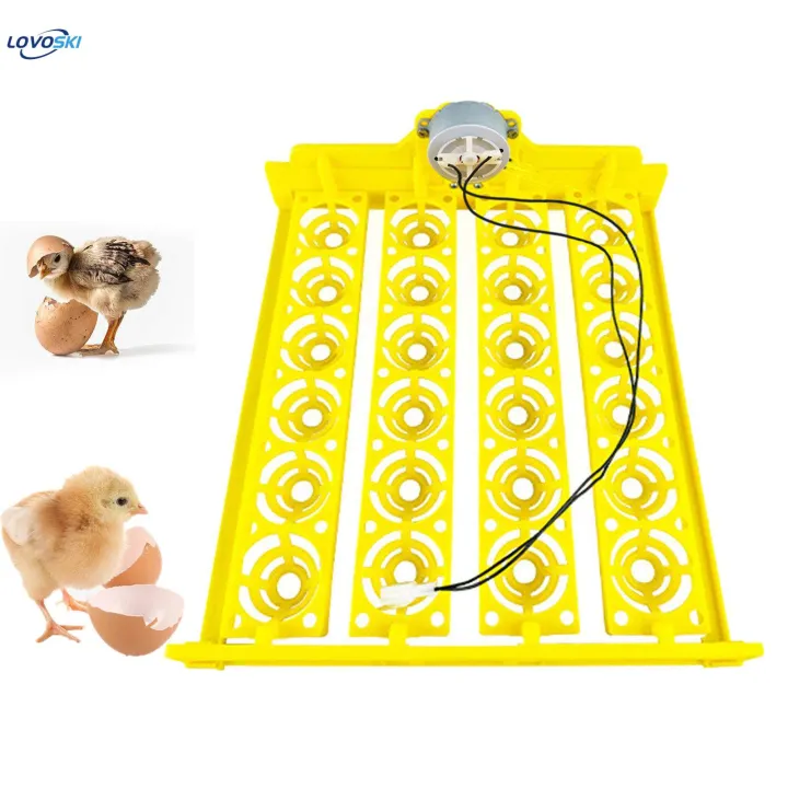 Automatic%20Egg%20Turner%20Tray%2024%20Eggs%20Egg%20Incubator%20Tray%20for%20Chicken%20Quail%20Goose%20DC%2012V%20-%20Image%207