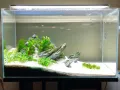 White Sand For Aquarium - 0.5/01/02 Kg pack You can Select Planted Aquarium White Sand - একুরিয়ামের জন্য সাদা বালি.