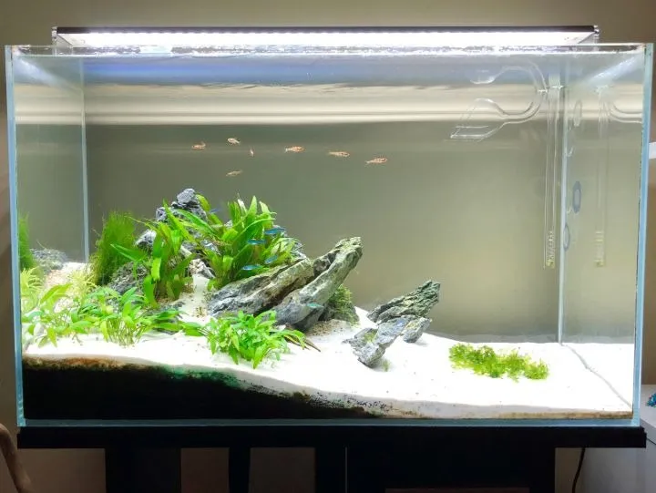 White%20Sand%20For%20Aquarium%20-%200.5/01/02%20Kg%20pack%20You%20can%20Select%20Planted%20Aquarium%20White%20Sand%20-%20%E0%A6%8F%E0%A6%95%E0%A7%81%E0%A6%B0%E0%A6%BF%E0%A7%9F%E0%A6%BE%E0%A6%AE%E0%A7%87%E0%A6%B0%20%E0%A6%9C%E0%A6%A8%E0%A7%8D%E0%A6%AF%20%E0%A6%B8%E0%A6%BE%E0%A6%A6%E0%A6%BE%20%E0%A6%AC%E0%A6%BE%E0%A6%B2%E0%A6%BF%20-%20Image%206