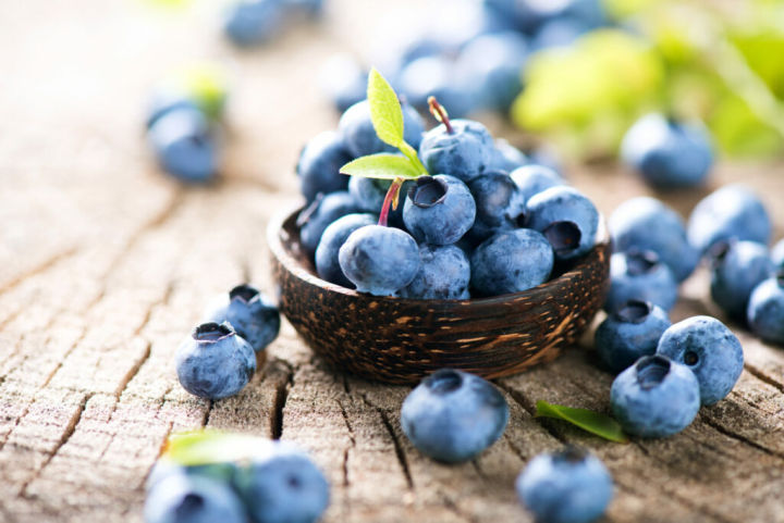 Blueberry%20Fruit%20Seeds%20-%2050%20Pieces%20+gift%20(%20best%20quality%20seeds%20and%2099%25%20germination%20rate)%20-%20Image%205