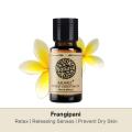 AKARZ Frangipani Essential Oil Natural Aromatherapy Relax Releasing Senses Prevent Dry Skin Frangipani Oil. 