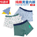 Hengyuanxiang Boys' Underwear Pure Cotton Boyshorts Summer Children's Boxers Thin Medium and Large Children's Underwear12Little Boy15. 