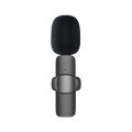 K9 Wireless Microphone (Type c).
