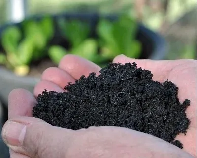 Activated%20Carbon%20Powder%201kg%20for%20Gardening%20and%20multipurpose%20of%20Activated%20Carbon,%20-%20Image%203