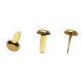 1/2 Inch Mini Paper Fasteners for Handicraft Projects,8 x 14 mm(Gold). 