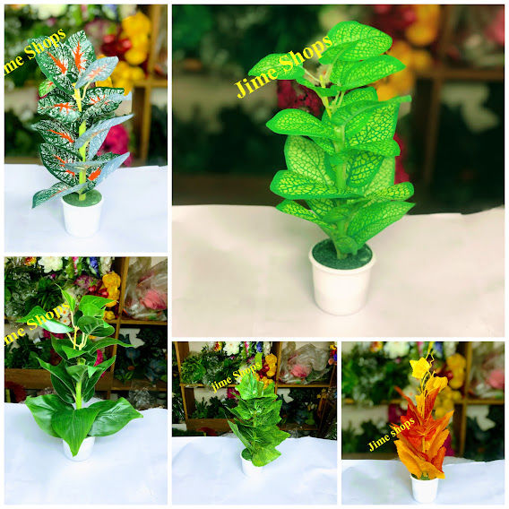 Artificial Leaves & Plant 9inc In plastic Pot For Office Decoration,jime shops flowers