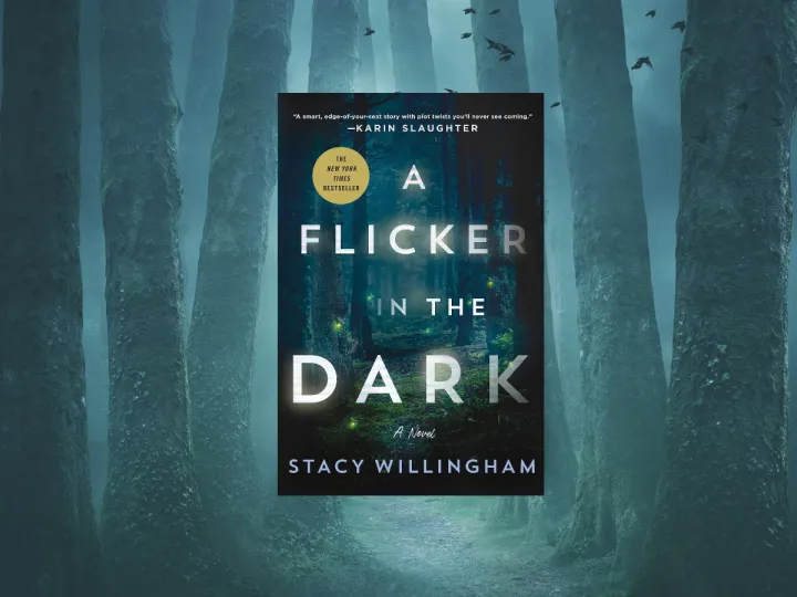 A%20Flicker%20in%20the%20Dark%20Book%20by%20Stacy%20Willingham%20-%20Image%203