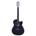 2020C Acoustic Guitar - Navy Blue. 