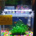 Deebow LED Crystal Aquarium Lamp. 