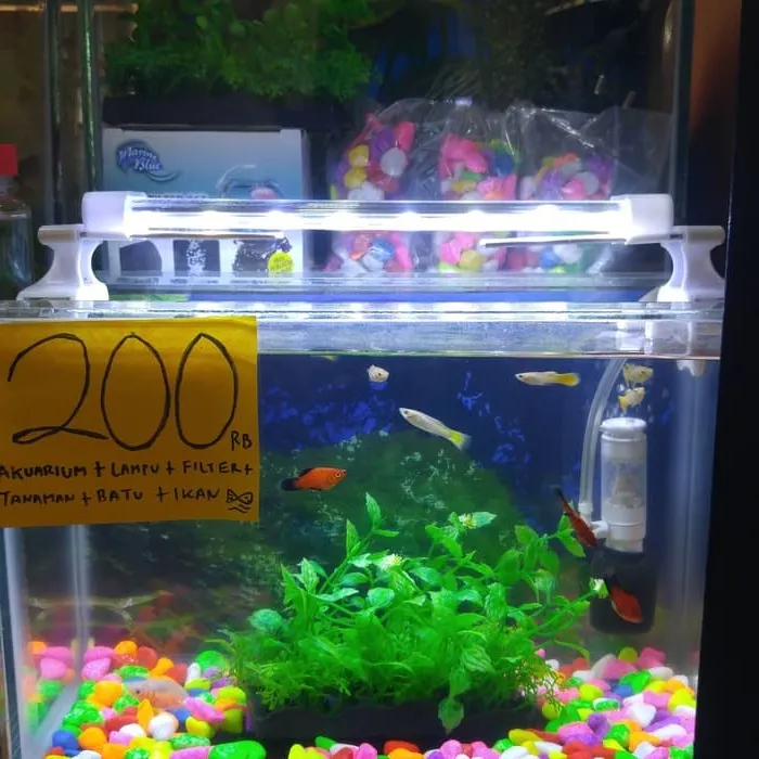 Deebow%20LED%20Crystal%20Aquarium%20Lamp%20-%20Image%203