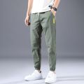 Ice Silk Pants Men's Summer Thin Section Trend Wild Loose Casual Pants Sports Pants Quick-drying Harlan Nine-point Pants.