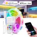 Homekit RGB LED Strip lights WiFi Siri Voice Smart Control Neon Tape Room lamp Decoration Work With Alexa/Google/Apple Home kit. 