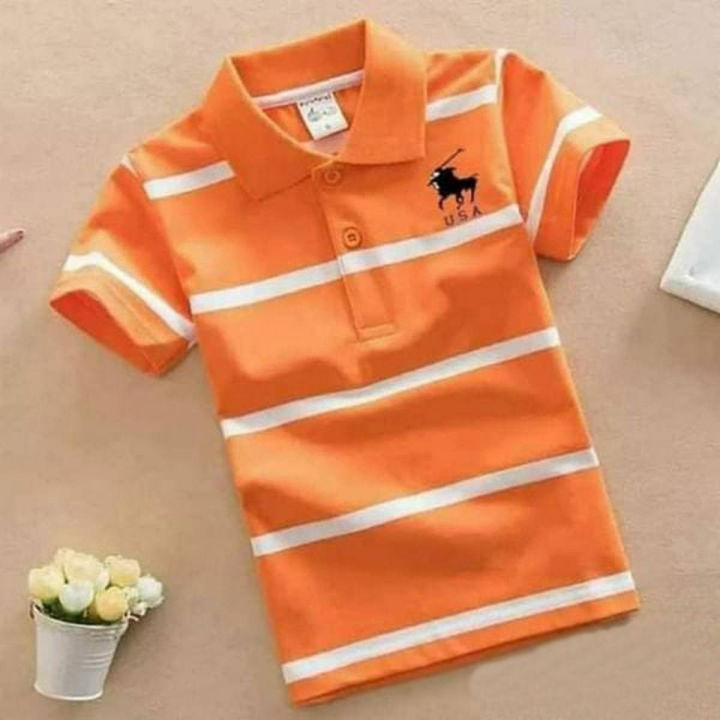 Fashionable Polo T-Shirt For BAby