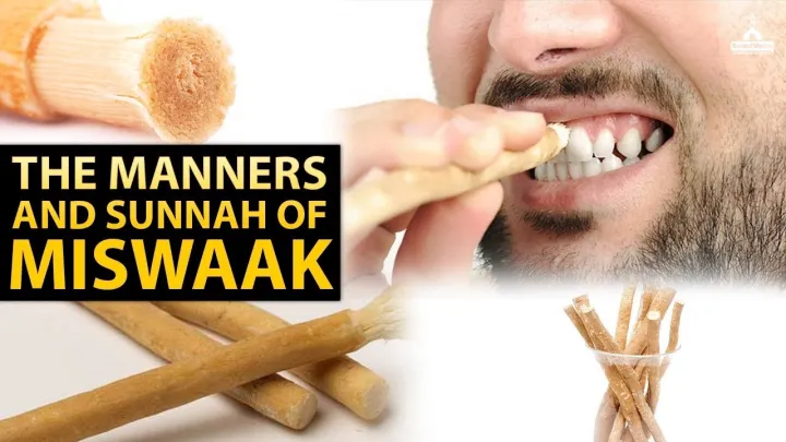 Natural%20Halal%20Toothbrush%20Miswak%20(2%20piece)%20%7C%7C%20AL-KHAIR%20MISWAK%20%7C%7C%20VACUUM%20PACKED%208"%20%7C%7C%20Herbal%20Toothbrush%20%7C%7C%20%20Natural%20Dental%20Care%20-%20Image%203