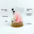 Migeet Preserved Re-al Rose Flower Eternal Rose in Glass Scented fo-rever Rose Flower Present for Women Mother's Day Valentine Romantic Wedding Home Party Festivals Anniversary Christmas Eve. 