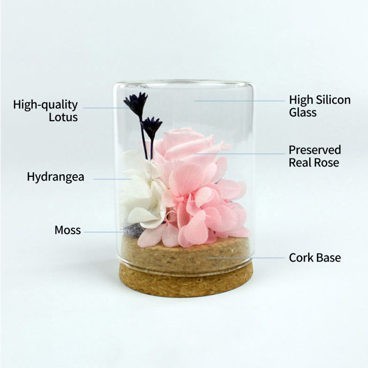 Migeet%20Preserved%20Re-al%20Rose%20Flower%20Eternal%20Rose%20in%20Glass%20Scented%20fo-rever%20Rose%20Flower%20Present%20for%20Women%20Mother's%20Day%20Valentine%20Romantic%20Wedding%20Home%20Party%20Festivals%20Anniversary%20Christmas%20Eve%20-%20Image%209