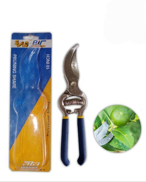 Pruning%20Shears/Garden%20Scissor/Professional%2010%20Inch%20Garden%20Scissors,%20Fruit%20Tree%20Pruning%20Shears%20Bonsai%20Pruners%20Grafting%20Cutter%20Garden%20Tools%20-%20Image%205