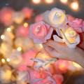 20LEDs String Romantic Flower Lights Warm White Lighting LED Rose Flower Lights for Fairy Garden. 