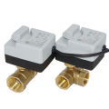 Brass Motorized Ball Valve 3-Wire Two Control Electric Actuator 220V 3Ways /2Way@#Hudduo. 