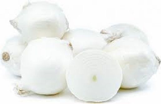 white Onion Tree seeds 50 pcs