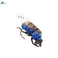 Fly Fishing Flies with Hooks, Lures, Artificial Baits for Perch, Trout, Fishing. 