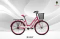 24'' or 26'' ladies cycle 71 ruby ,Meghna cycle.