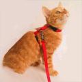 Adjustable Nylon Pet Cat Harness and Leash ~ Kitten Belt Collar with lead. 