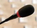 High-Quality Black Foam Microphone Windscreen Cover, Washable, Soft Sponge, Ball Shape, Universal Plug for Live Sound & Stage Equipment.