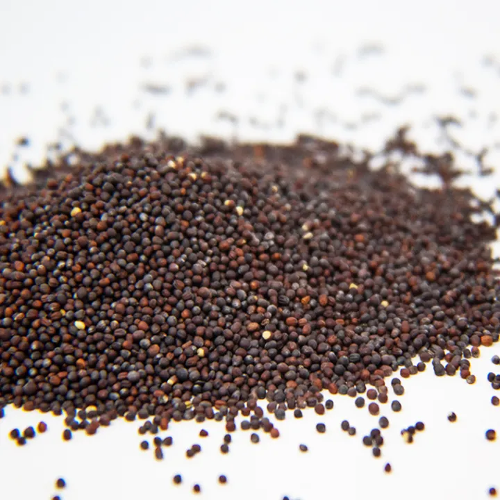 Hybrid%20Chinese%20Cabbage%20Seeds%2020%20Pieces%20(Premium%20Quality)%20-%20Image%202