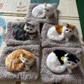 Cute cat plush toy doll Soft cat doll simulation kitten pillow. 