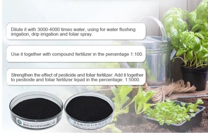 Seaweed%20extract%20powder%20Agriculture%20organic%20rooting%20sargassum%20%2050g(Re%20pack)%20-%20Image%203