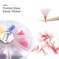 10D Premade Volume Colored Eyelash Extension Mixed Tray Fans D Curl Lash Fans Pointed Handmade Promade Loose Fan Thin Base.