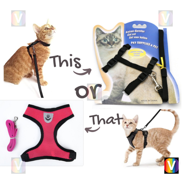 Cat Body Harness and leashes set, Cat & Dog collars, muzzles, Collars & Harnesses, Leashes & Collars