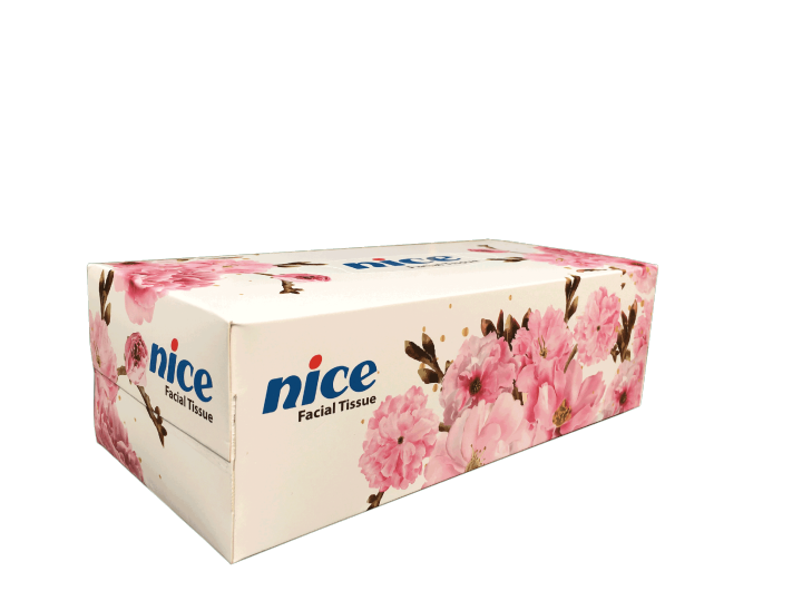 nice%20Perfumed%20Facial%20Tissue-Embossed%20-%20120%20Pcs%20x%202%20Ply/Box,%20S4:%208%20Boxes%20-%20Image%204