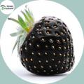 Black Strawberry Seeds(???? ????????? ???) - 30 Pcs Seeds. 