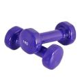 PVC Dumbbell 1kg - Blue. 